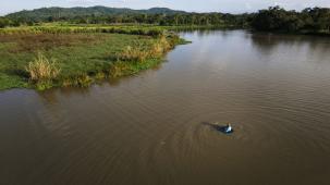 nescafé sustainable practices