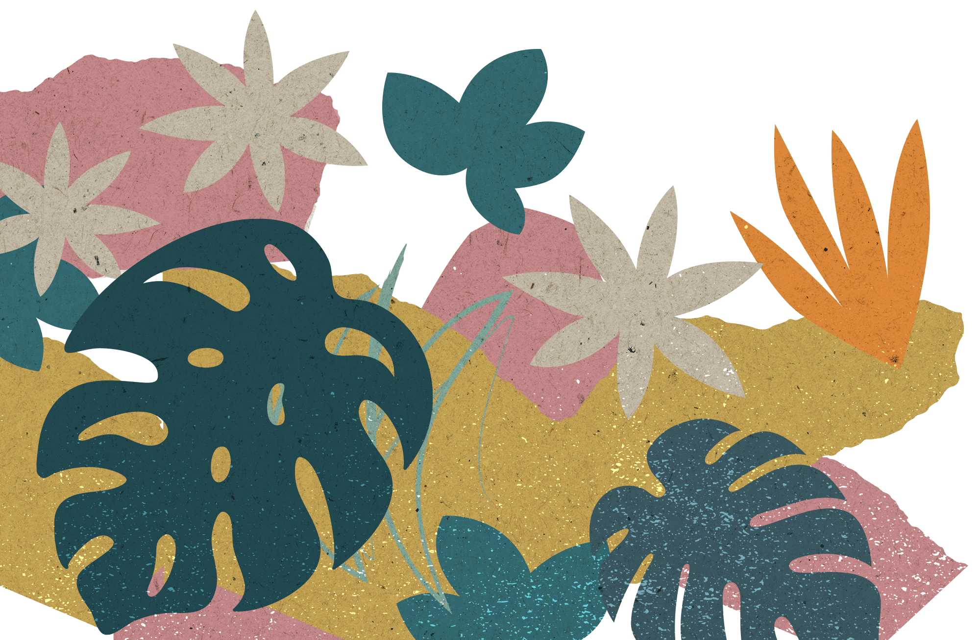 Plant Illustrations