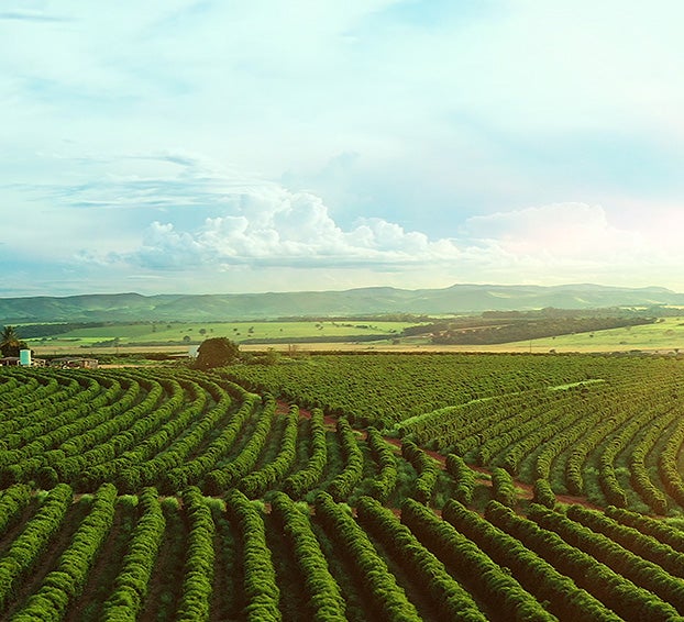 sustainable and regenerative benefits