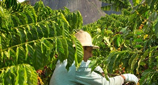 ลาตินอเมริกา