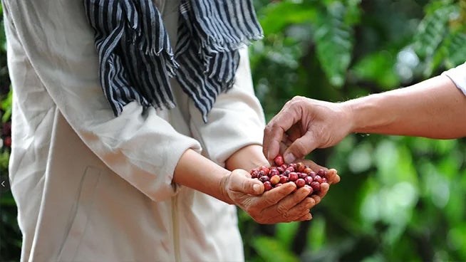 เล่าให้ฟังอย่างเปิดใจ