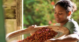 แอฟริกา