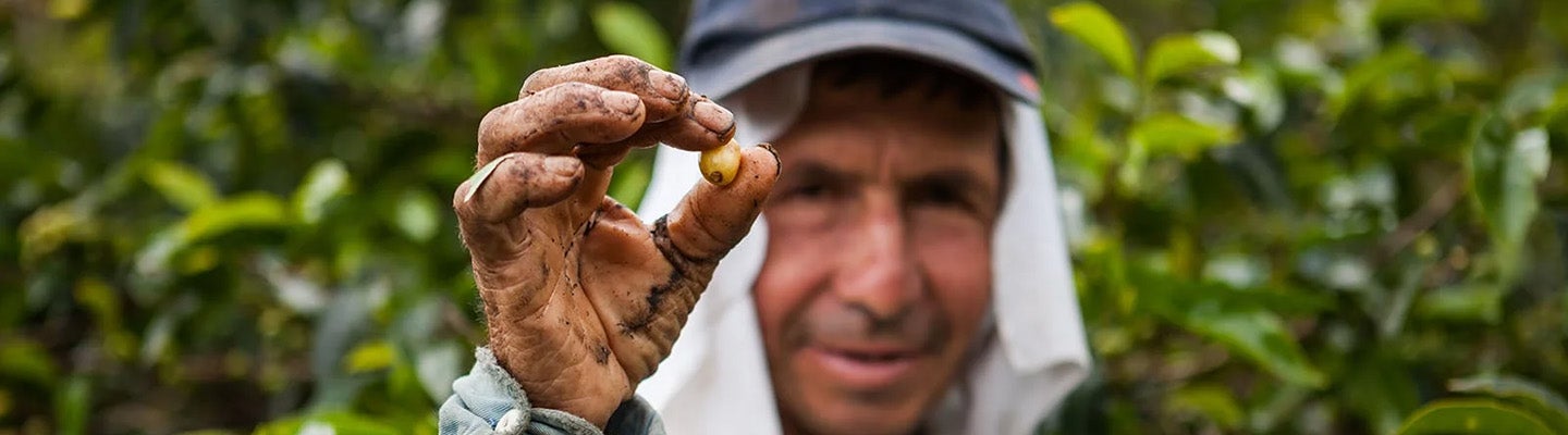 เราได้กำหนดมาตรฐานขึ้น