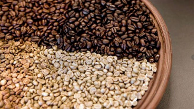 จากเมล็ดกาแฟพันธุ์ดี สู่กาแฟสำเร็จรูป