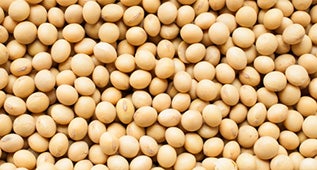 เรื่องน่ารู้…