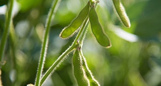 กระบวนการ