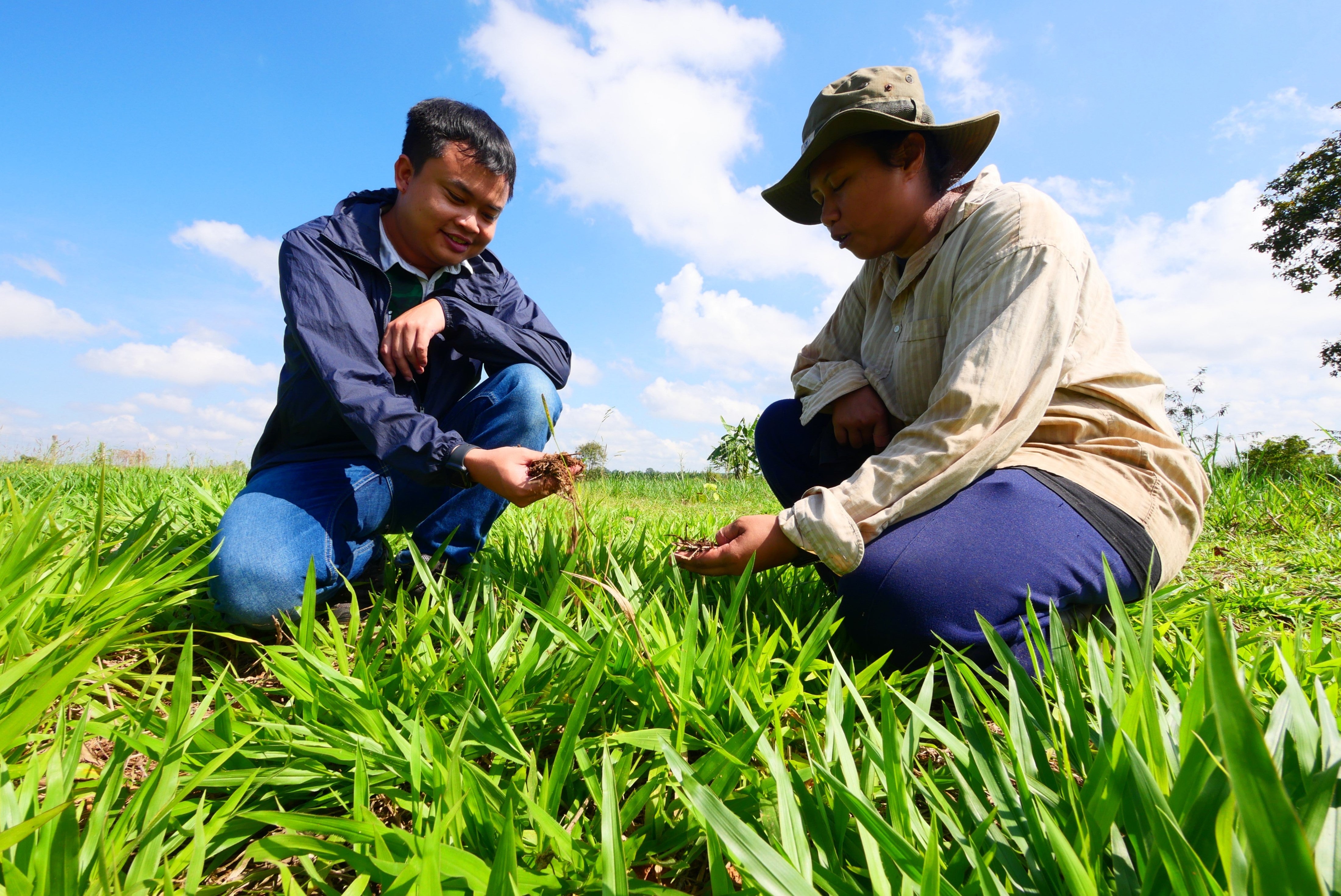 nescafé responsible sourced coffee