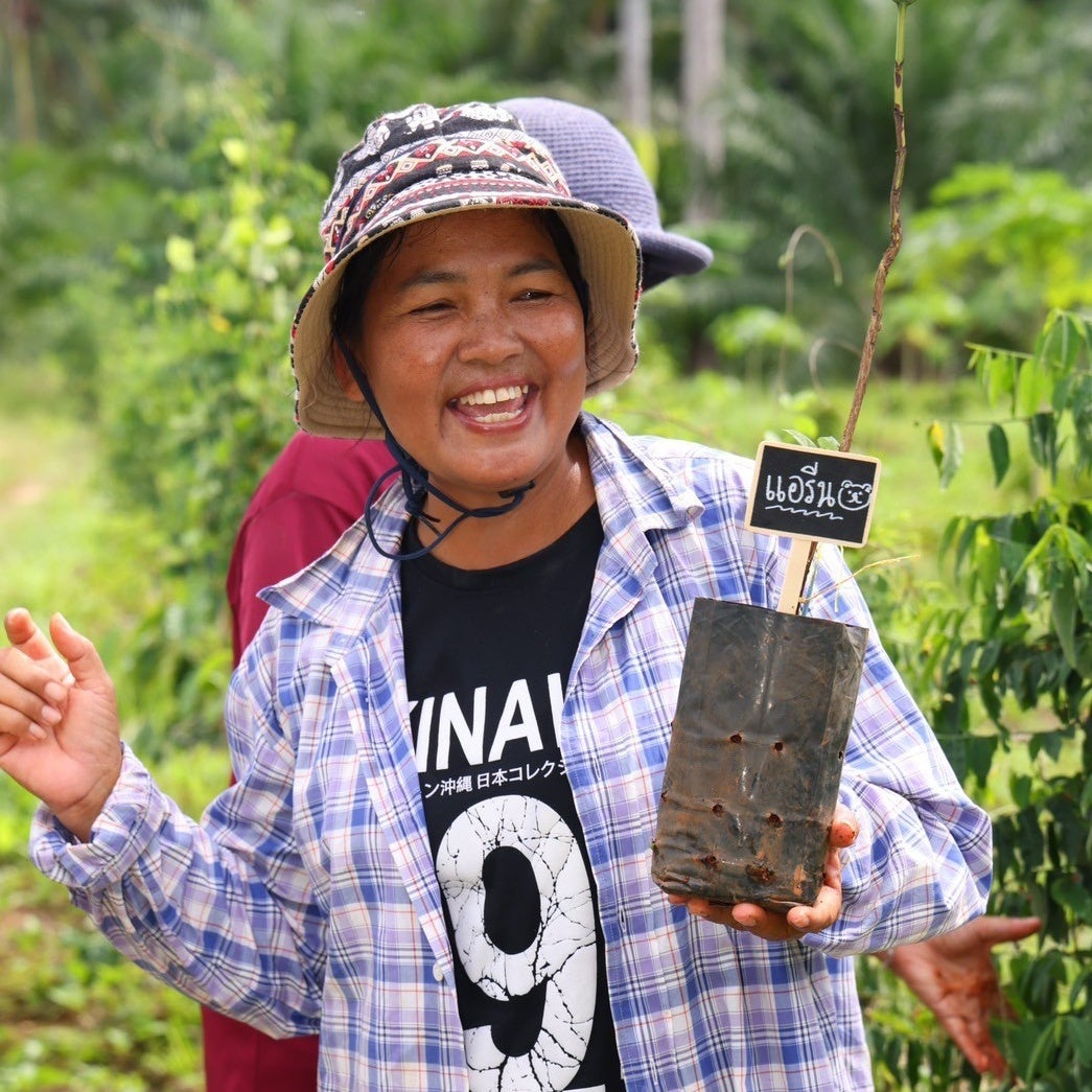 เริ่มต้นวันใหม่ด้วยความสดใส
