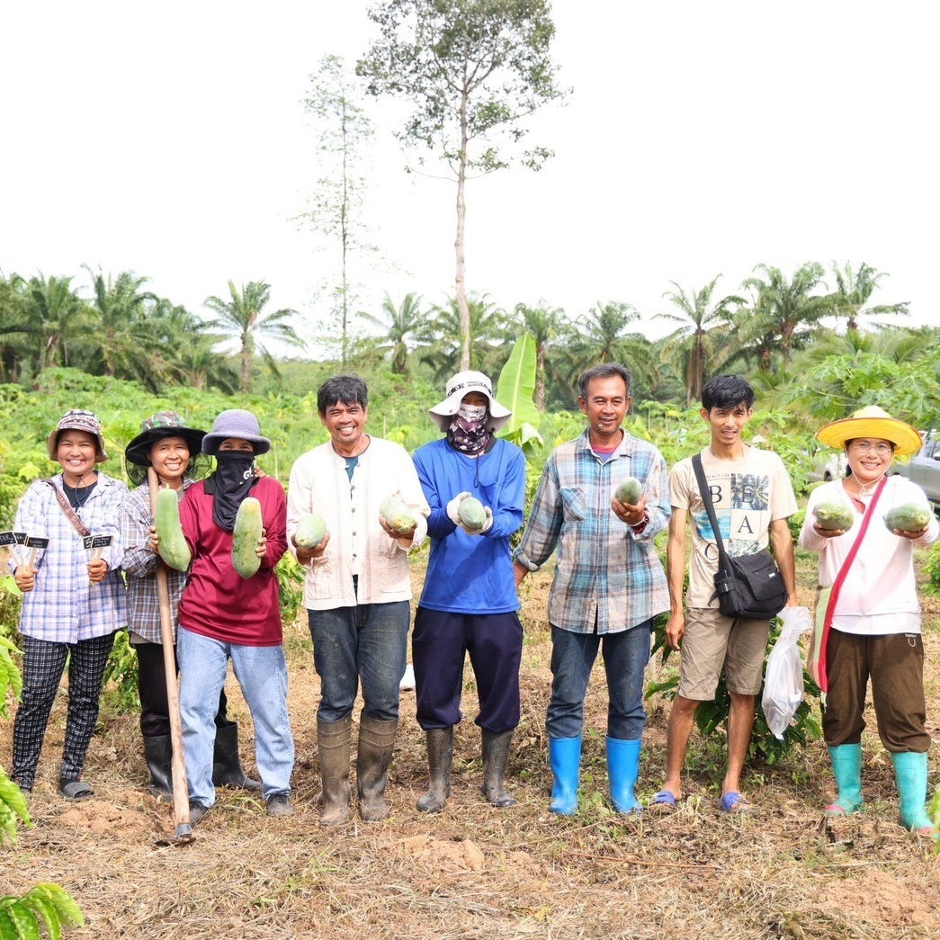เนสกาแฟ แพลน  อนาคตที่สดใสอยู่ในมือเรา