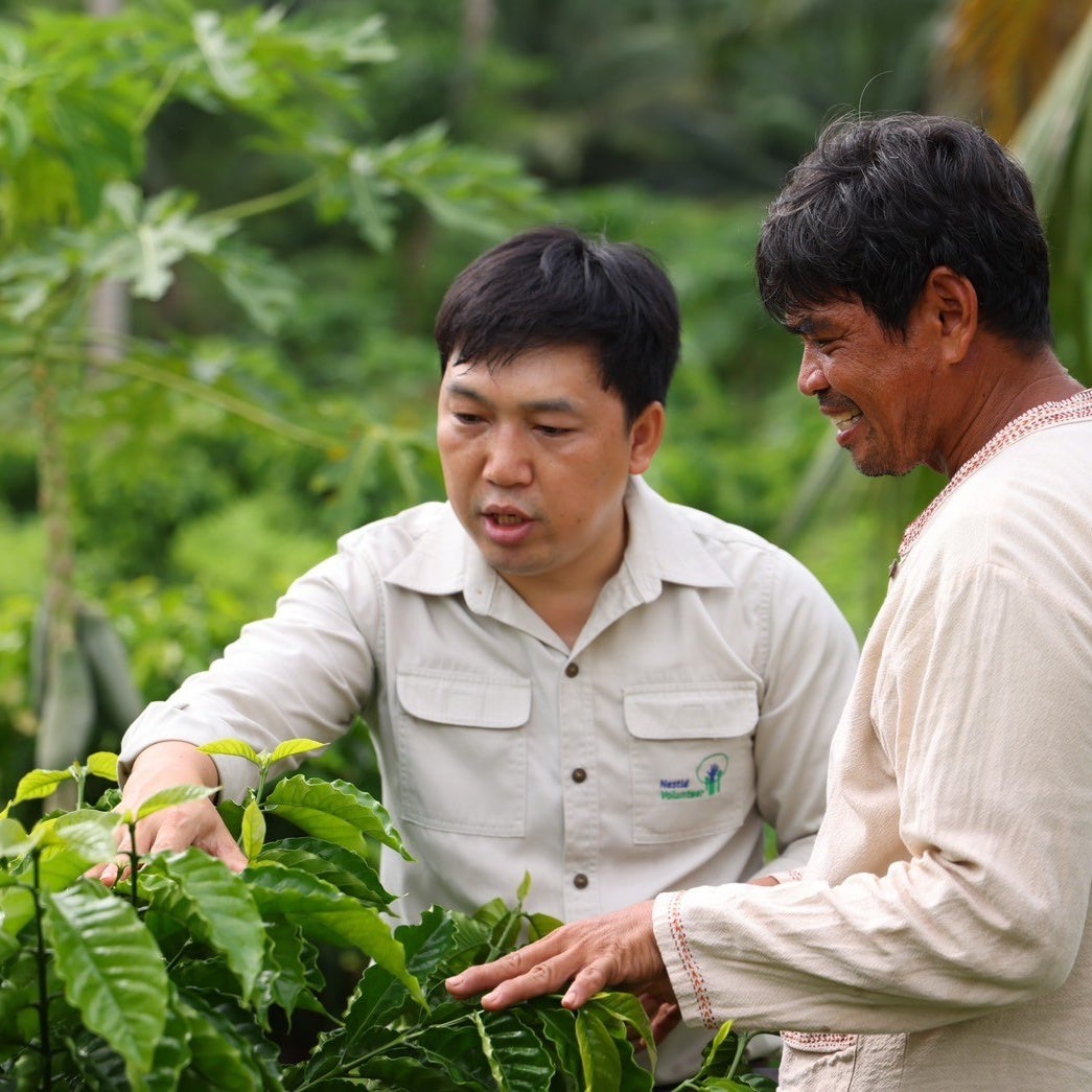 เนสกาแฟปลุกพลังเพื่อวันพรุ่งนี้ที่ดีกว่า