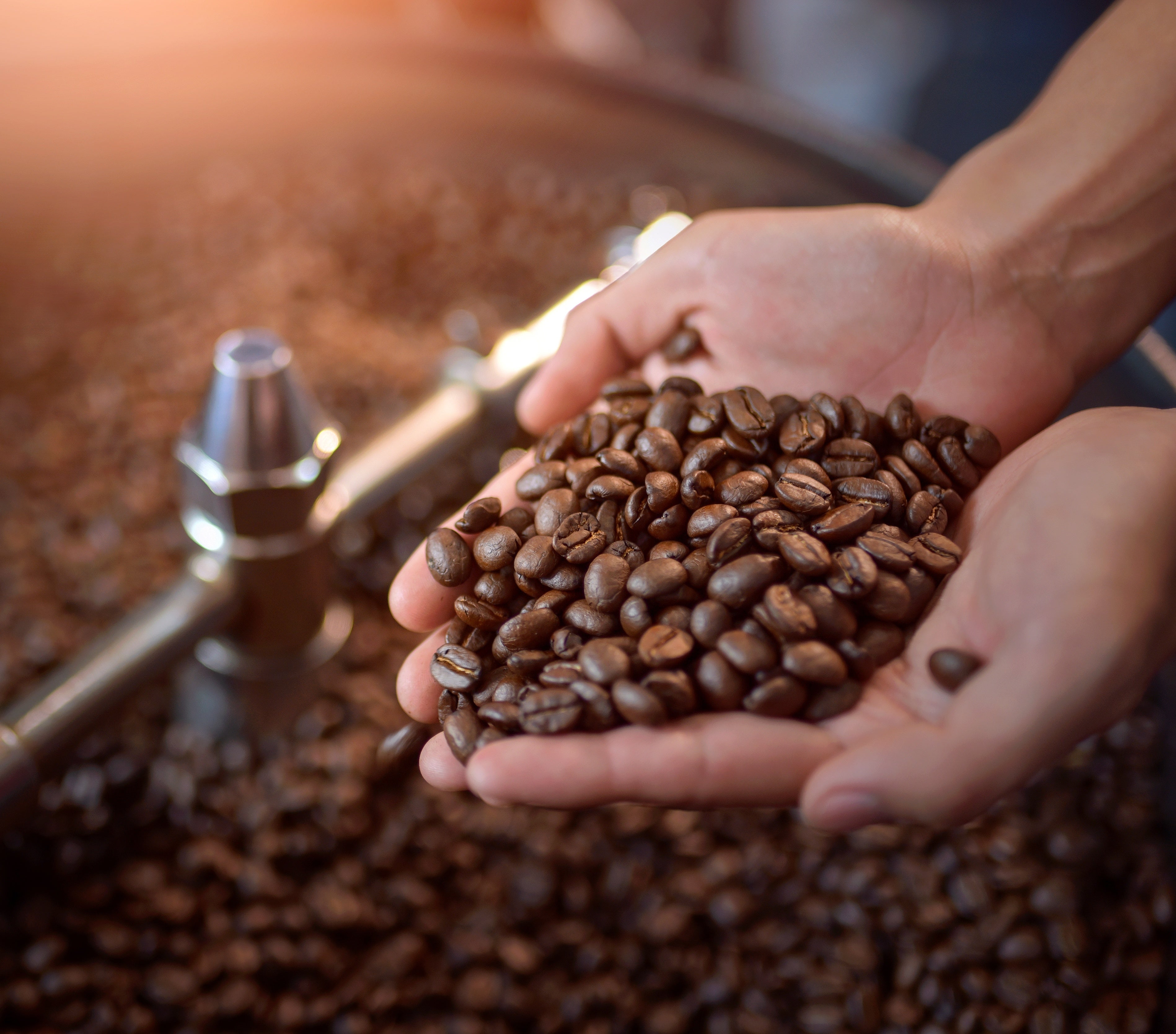 เนสกาแฟมุ่งหน้าสร้างความยั่งยืนให้เกษตรกรไทย