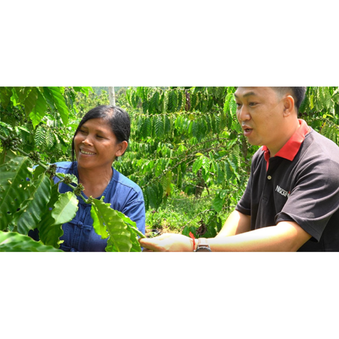 โครงการเนสกาแฟ แพลน 2030