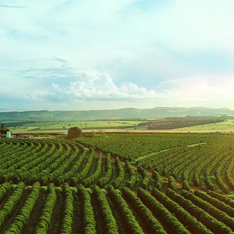 sustainable and regenerative benefits