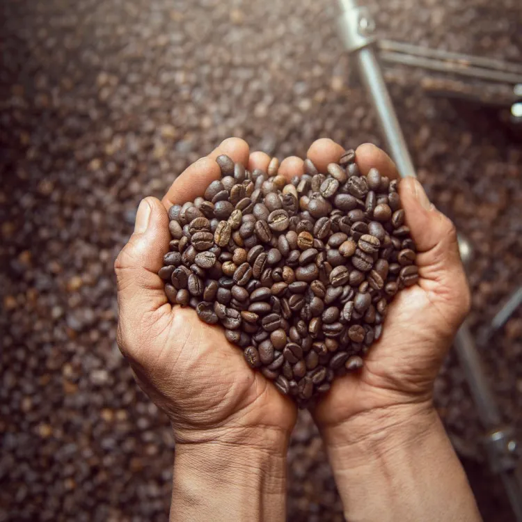 the story of coffee