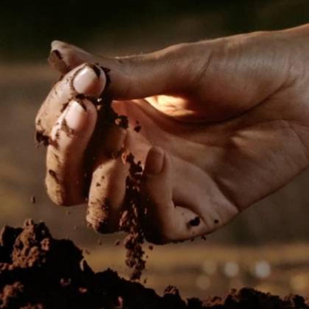 เข้าใจในเรื่องกาแฟ