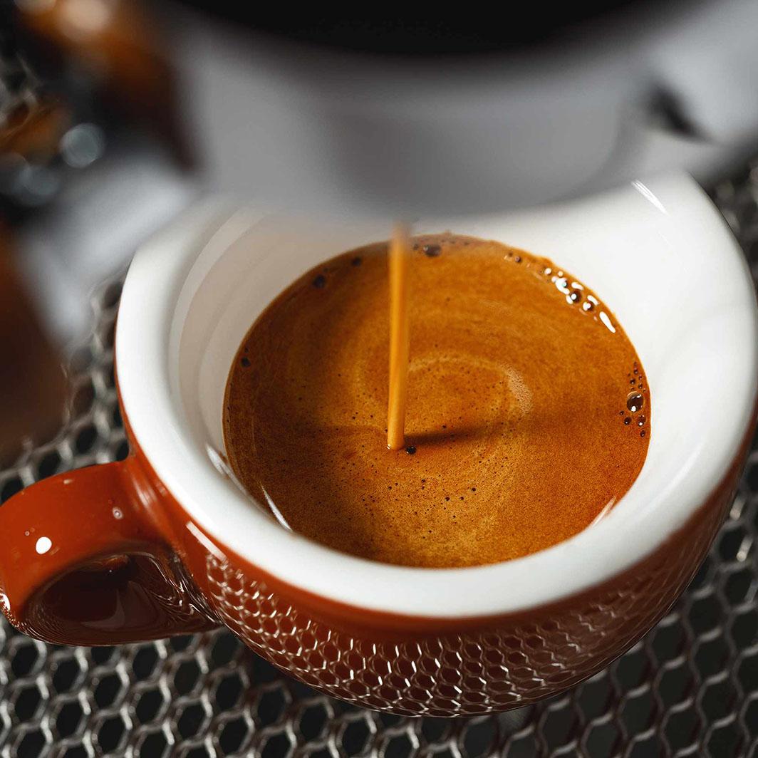 การเดินทางของเนสกาแฟสู่เศรษฐกิจหมุนเวียนในการผลิตกาแฟ