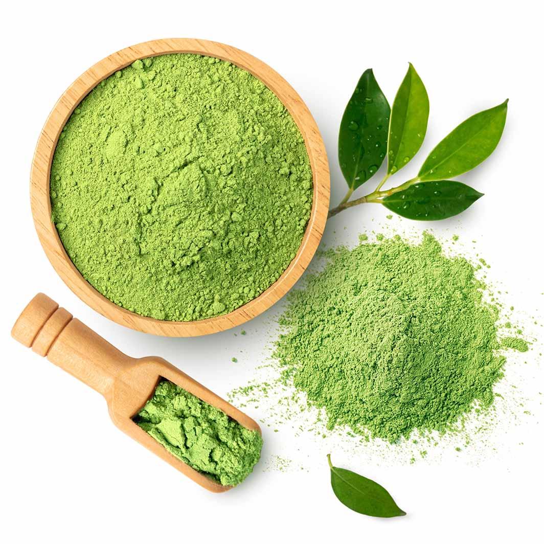 ชาเขียวมัทฉะ เคล็ดลับสุขภาพสไตล์ญี่ปุ่นที่คุณต้องลอง