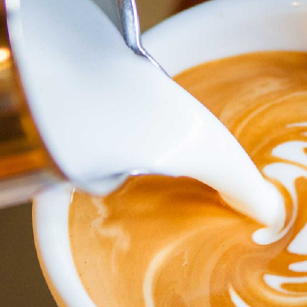 6 ประเภทนมธัญพืช นมทางเลือกสำหรับคนรักสุขภาพ