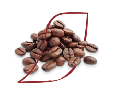 beans
