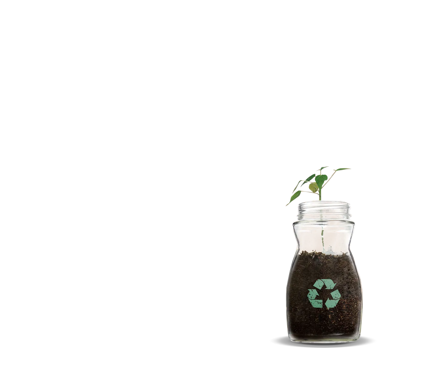 sustainability tips