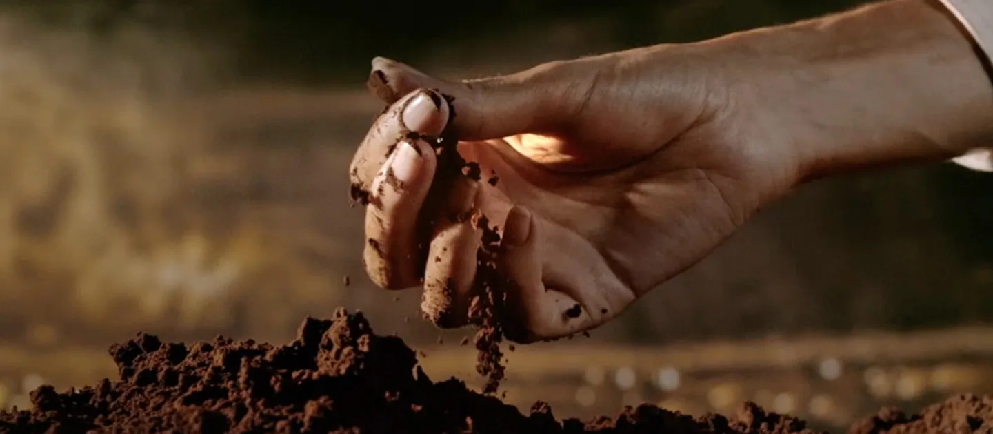 Understanding Coffee