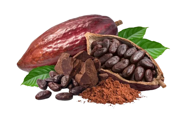 Cocoa