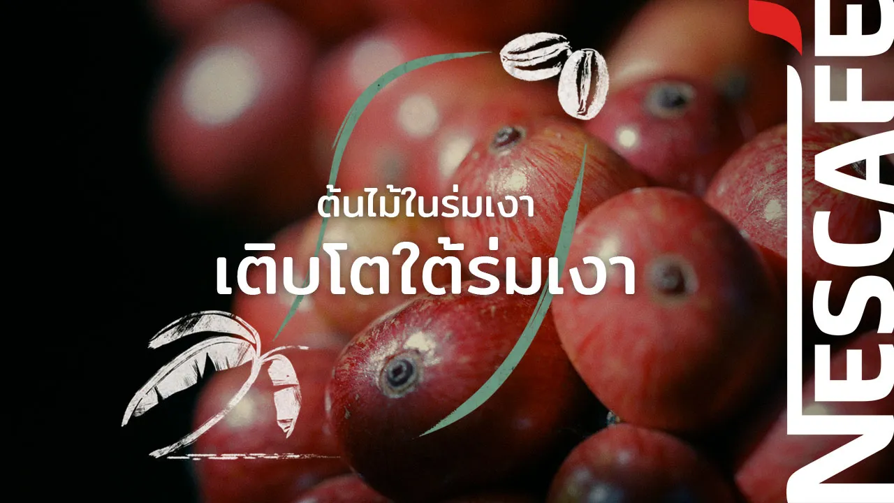video-thumbnail