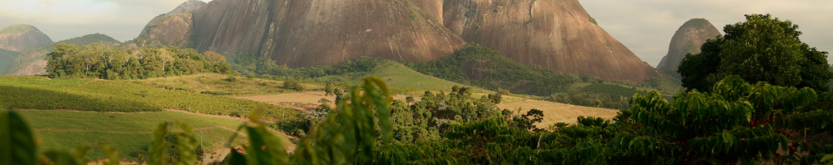 NESCAFÉ® sustainability