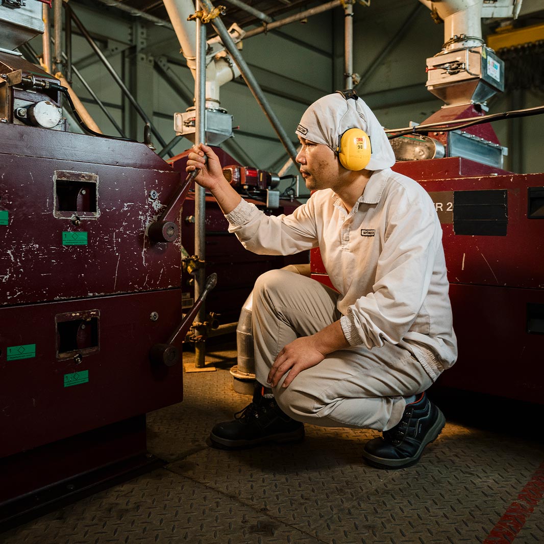 kahve öğütücülüğü becerileri