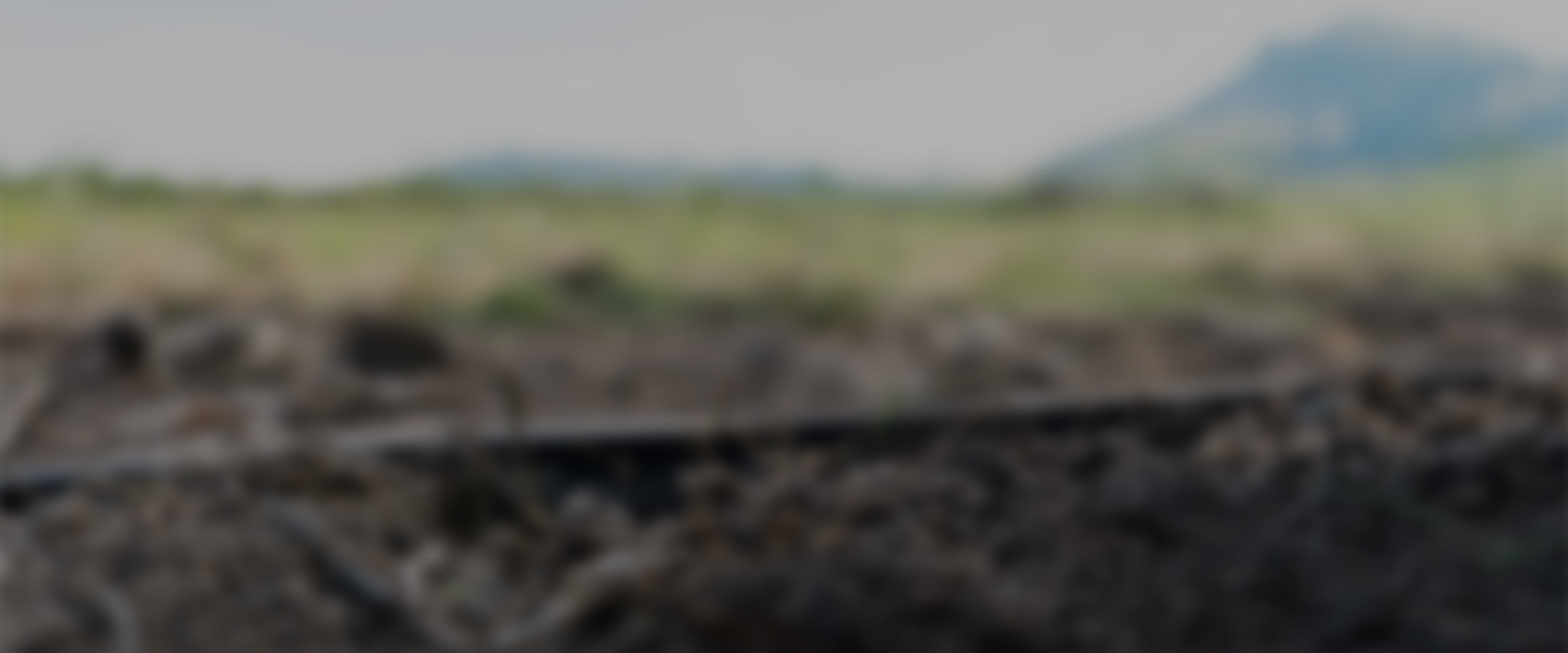 rejeneratif tarım uygulamaları