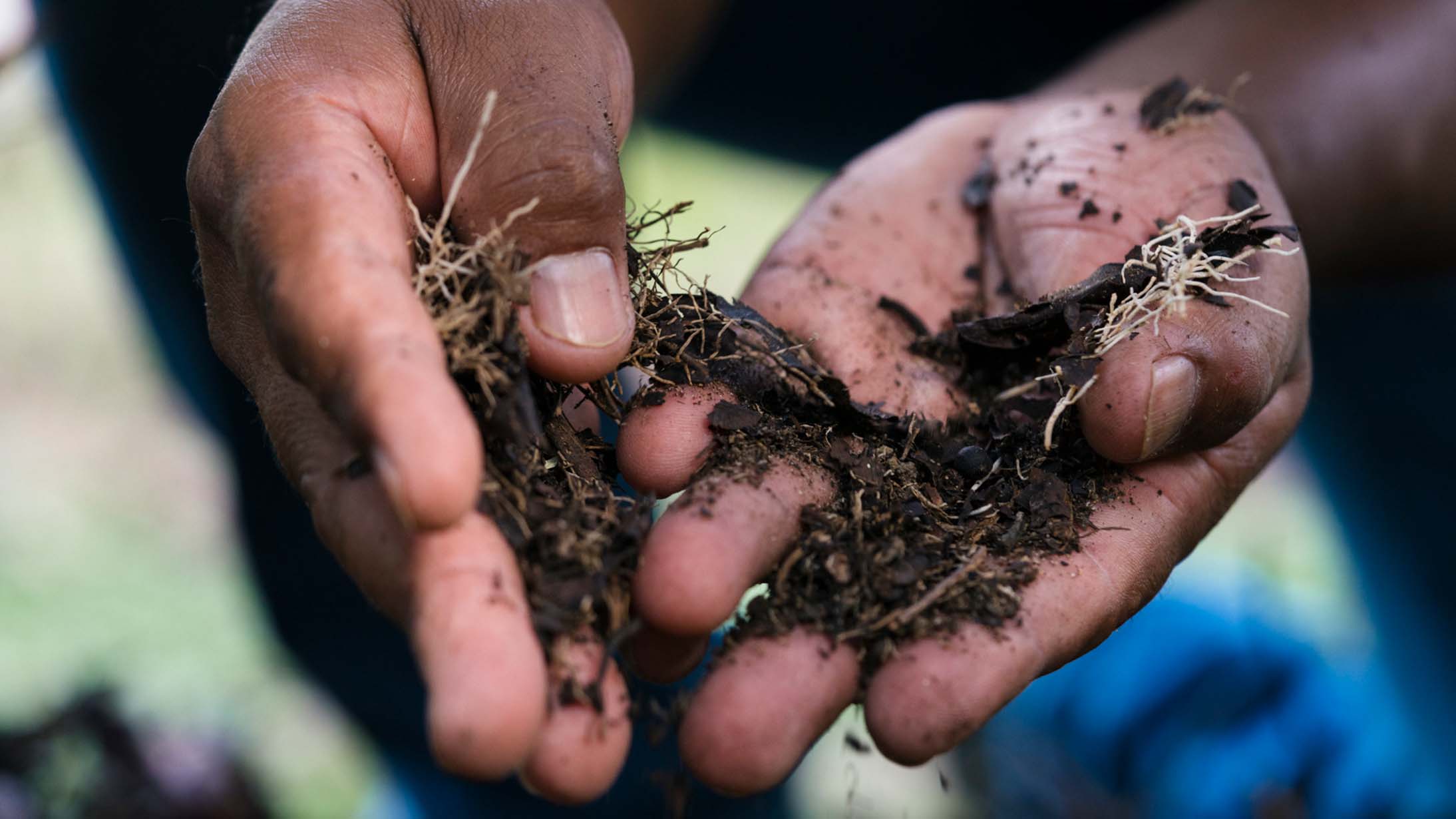 rejeneratif tarım uygulamaları