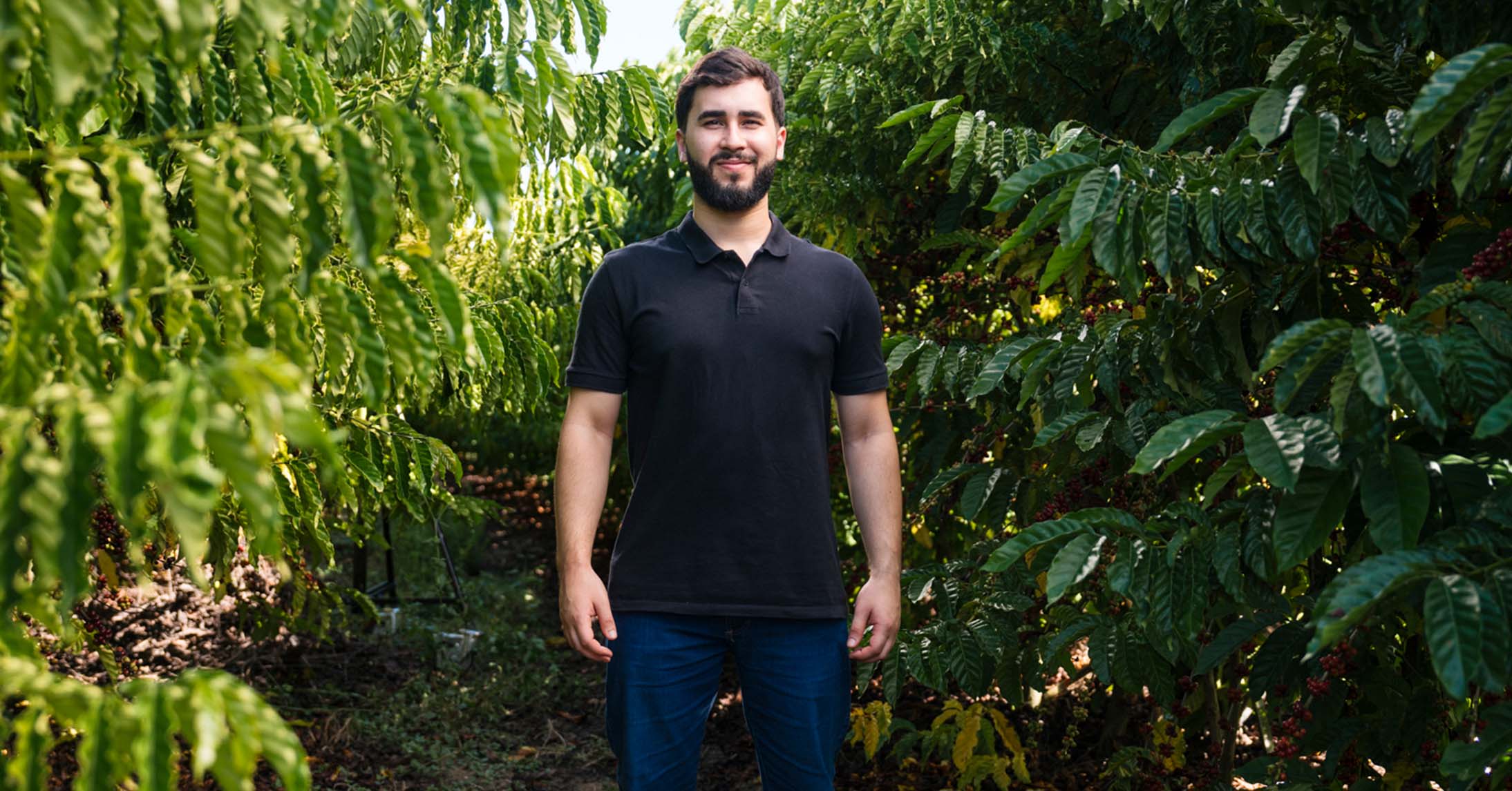 brezilyada kahve çiftçisi