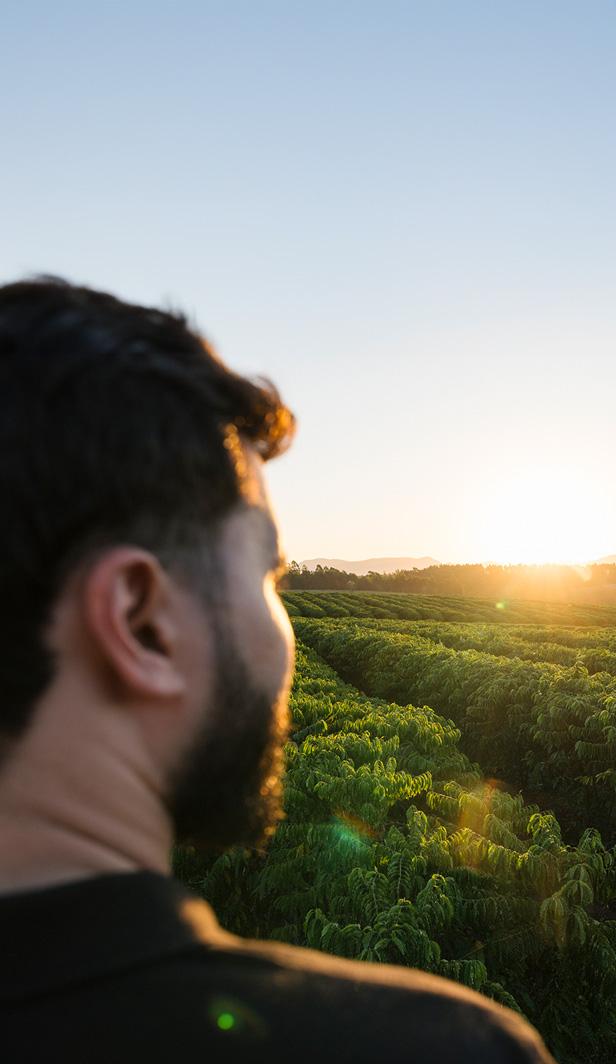 nescafé kahve çiftçileri