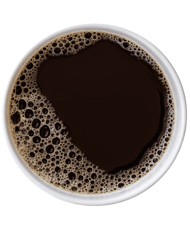 nescafé kahve tadımcıları