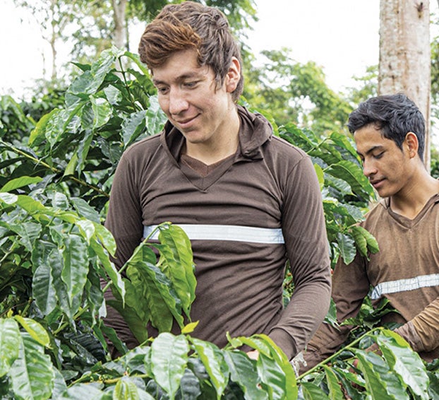 NESCAFÉ® 青年計畫