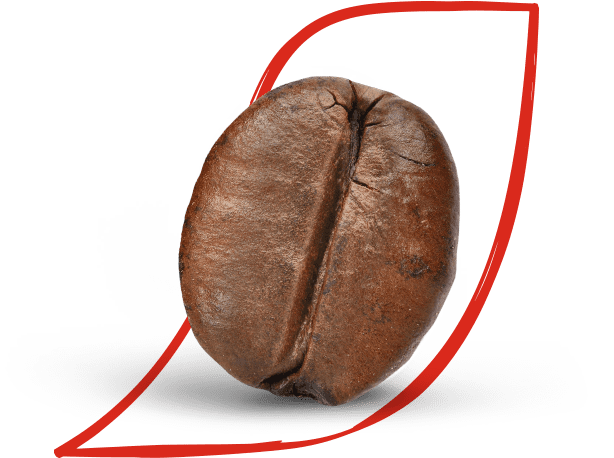 Nes Web3_PDP-PSC_Global_CoffeeFactsModule