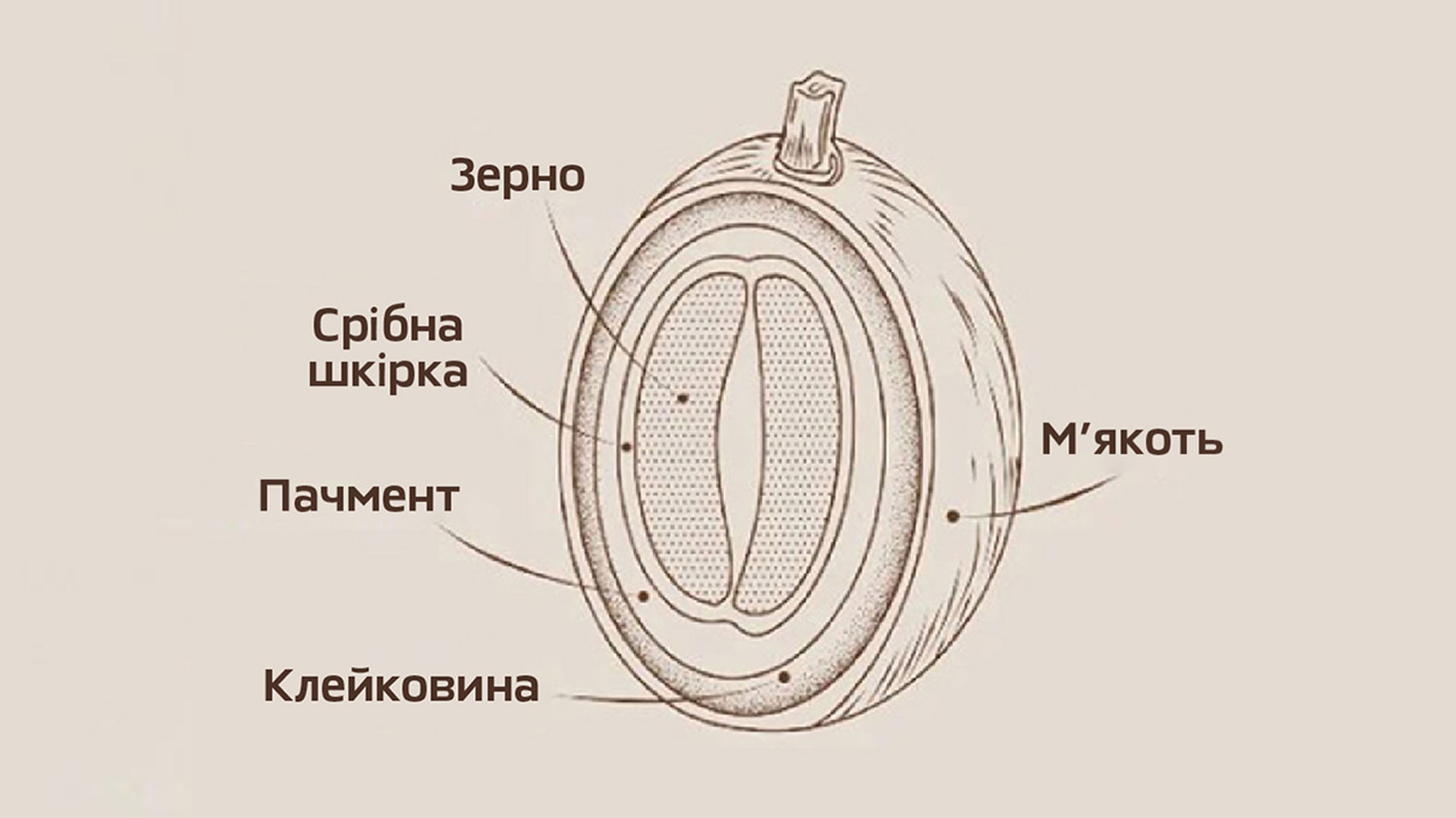 Masony grid image