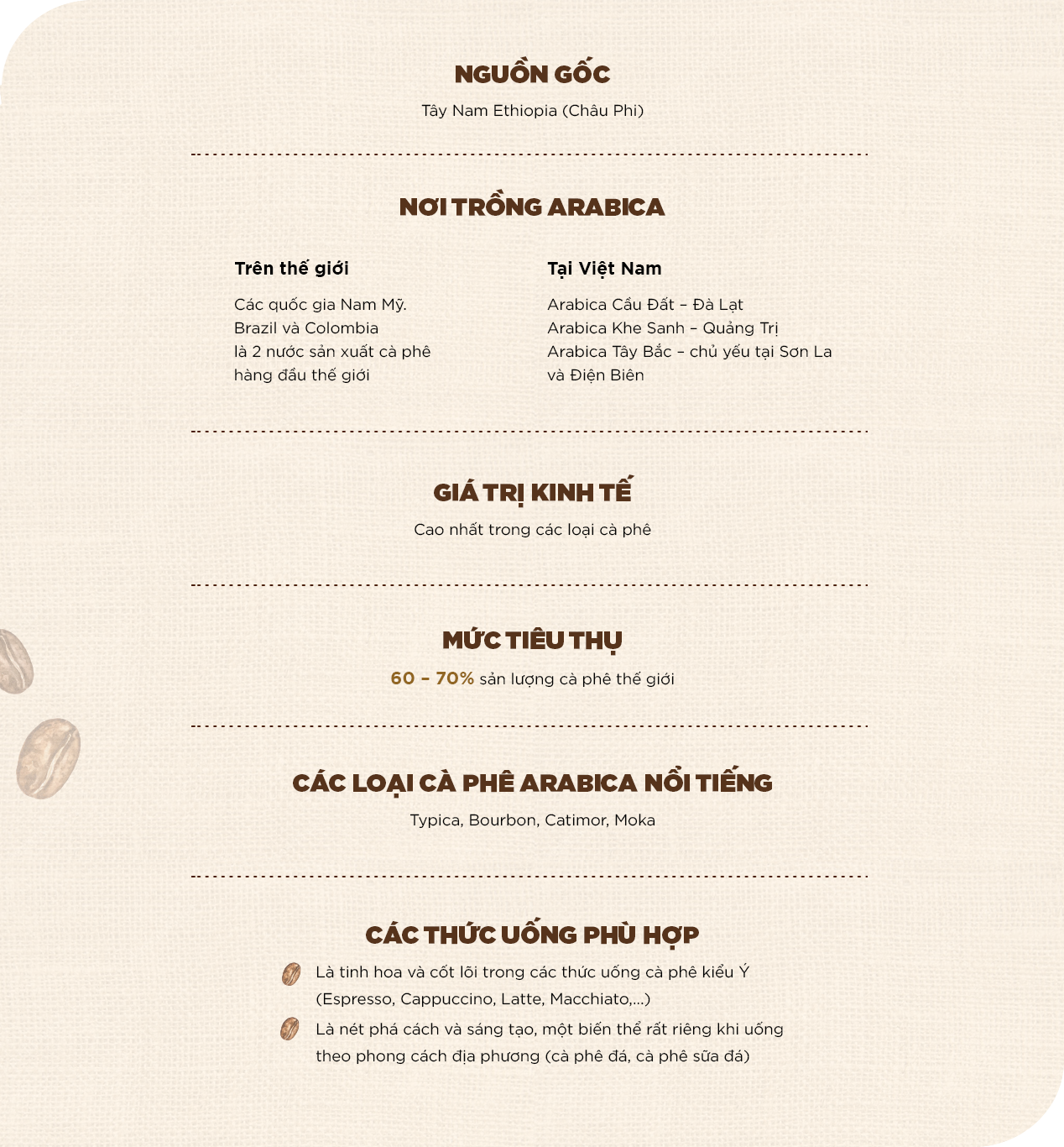 Giải mã hạt cà phê Arabica