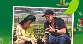 Phân phối trên 73.5 triệu cây giống tốt