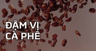 Chọn lọc từ 100% hạt cà phê Robusta chất lượng từ vùng đất Tây Nguyên Việt Nam