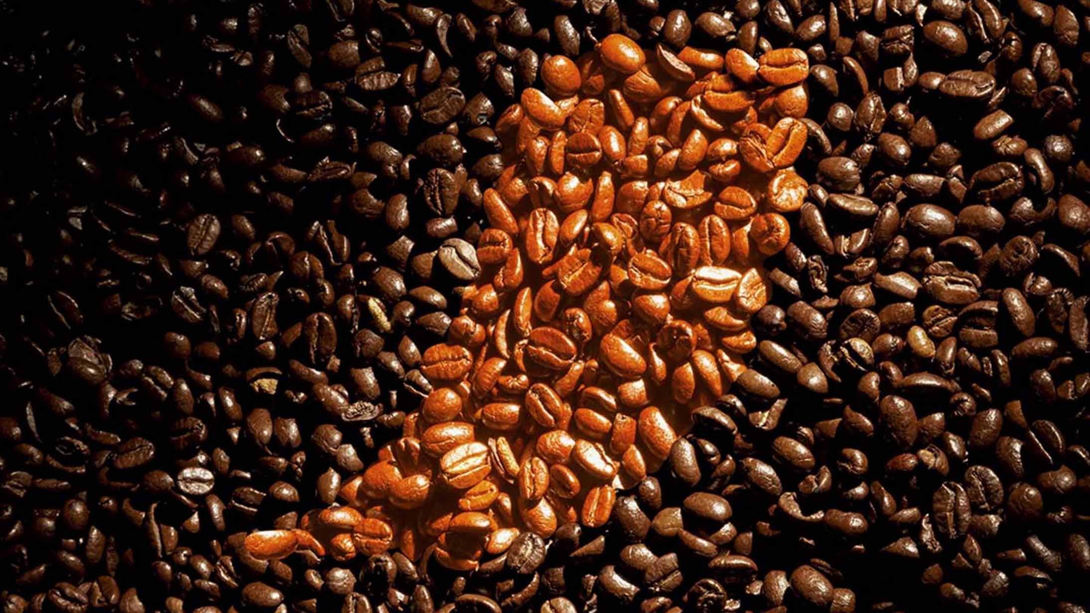 Gửi hạt cà phê đi Malaysia: Quy định & lưu ý quan trọng