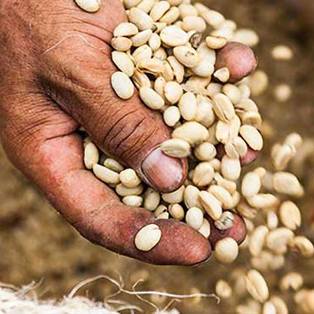 Cà phê đến từ đâu