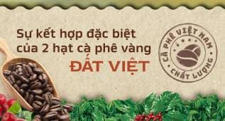 Công thức kết hợp đặc biệt giữa 2 loại hạt cà phê vàng đất Việt