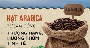 Hạt Arabica thượng hạng với hương thơm tinh tế từ Lâm Đồng