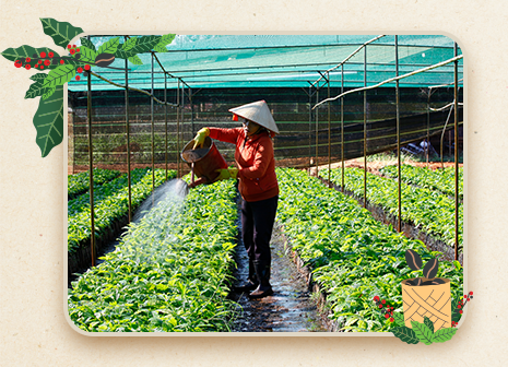 NESCAFÉ Plan vì một môi trường bền vững - 1