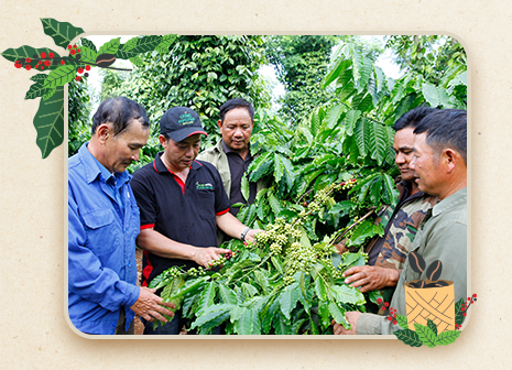 NESCAFÉ Plan vì một môi trường bền vững - 2