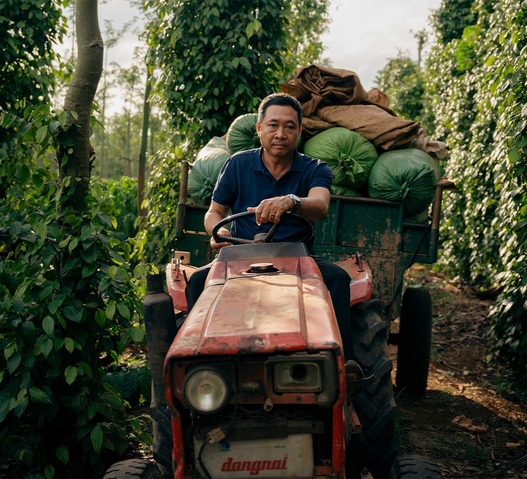 thực hành xen canh