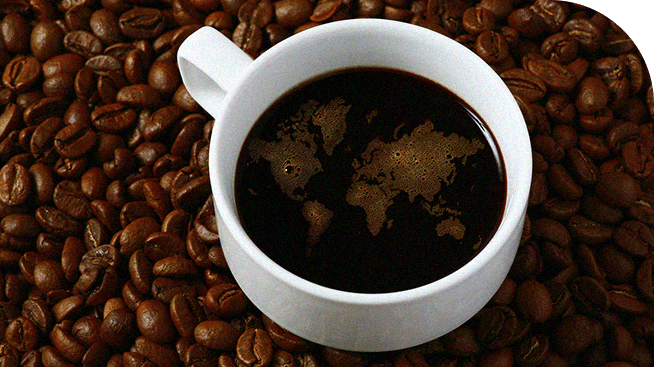 Bàn về Specialty Coffee – Sự hoàn hảo làm nên tinh hoa cà phê thế giới