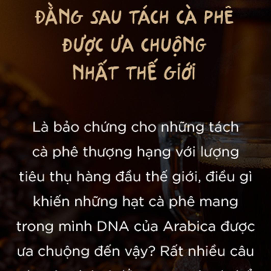 Giải mã Arabica