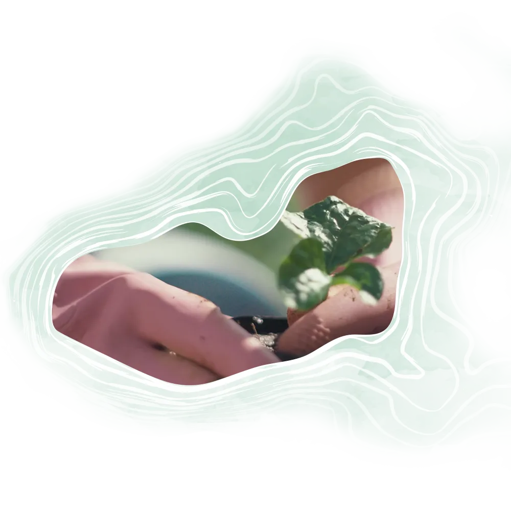 Sustainability-Makers-Asset-Roll-Out_Makers-Secondary-Farmer-240x240